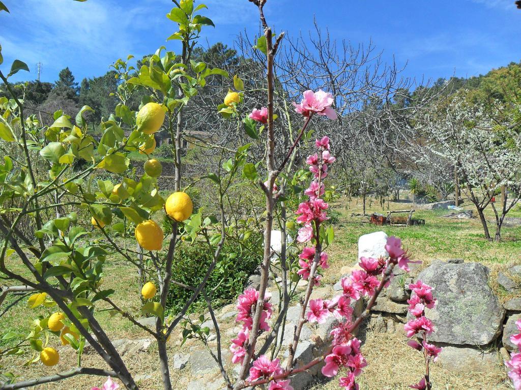 Quinta Do Tempo Turismo Rural Monchique Habitación foto